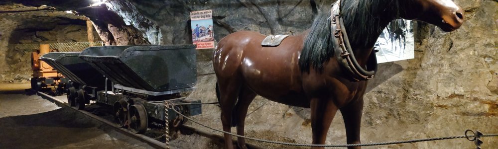 C4 - Ausfluch an de Minette